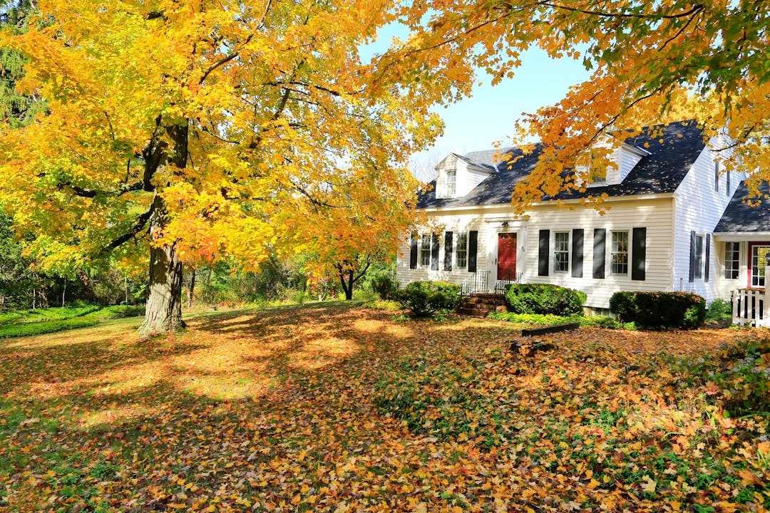 Discover the advantages of selling your home in the fall, from enhanced curb appeal to motivated buyers. Consult with a local REALTOR for expert guidance.